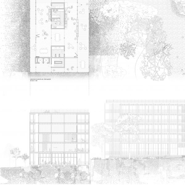 Lily Stokie - Panel 04