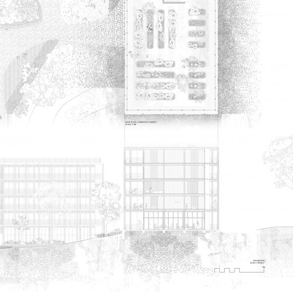 Lily Stokie - Panel 05