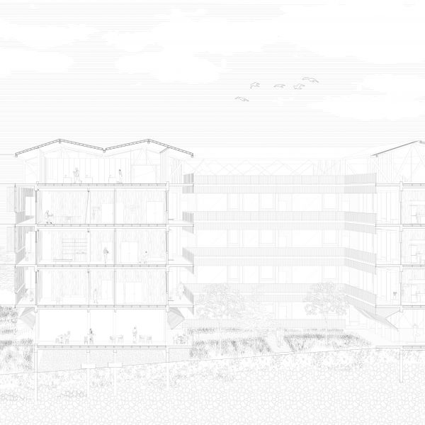 Thomas Hibbert - Panel 08