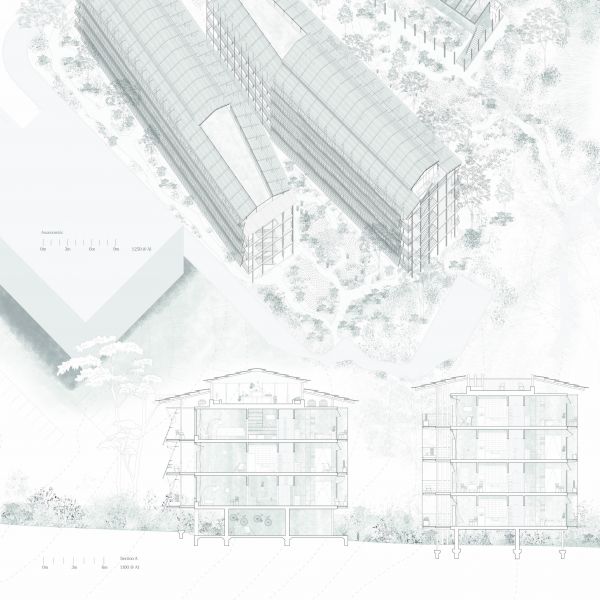 Reuben Lawrence-Lane - Panel 07